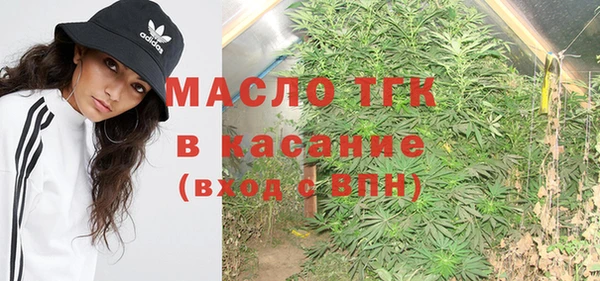 индика Богородицк
