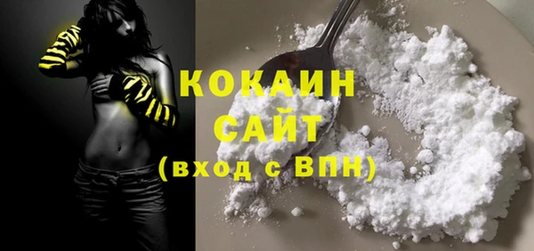 индика Богородицк