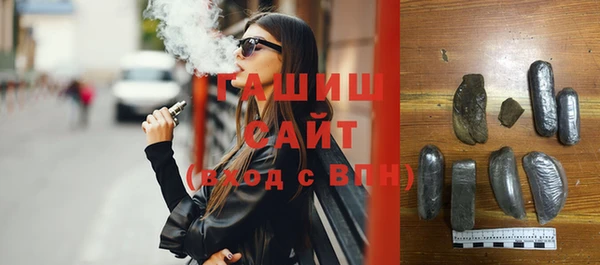 индика Богородицк