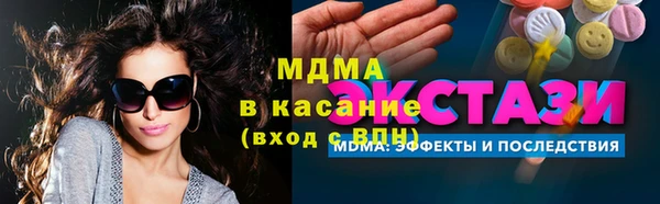 индика Богородицк