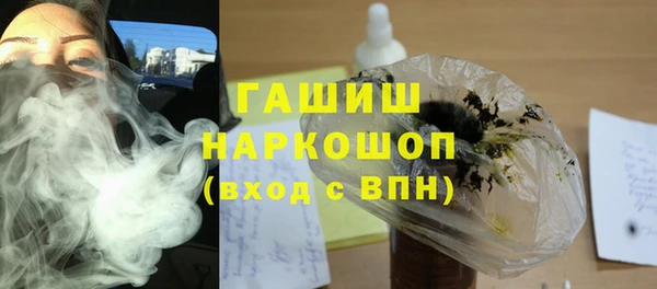 индика Богородицк