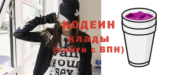 индика Богородицк