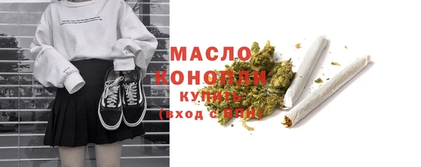 индика Богородицк