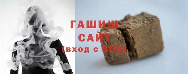 индика Богородицк