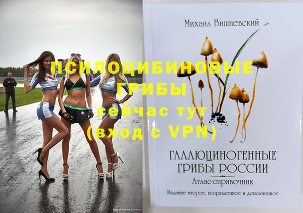 индика Богородицк