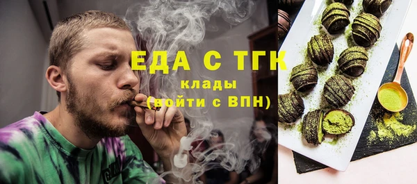индика Богородицк