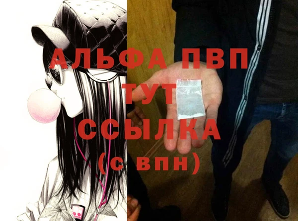 индика Богородицк