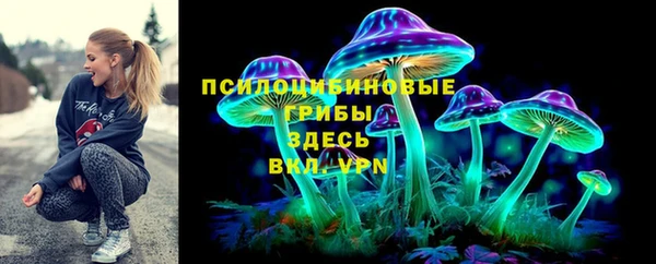 индика Богородицк