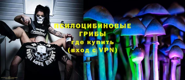 индика Богородицк