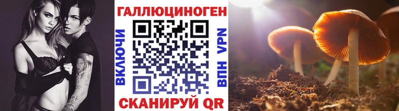 Галлюциногенные грибы мухоморы  Купить где  Среднеколымск 
